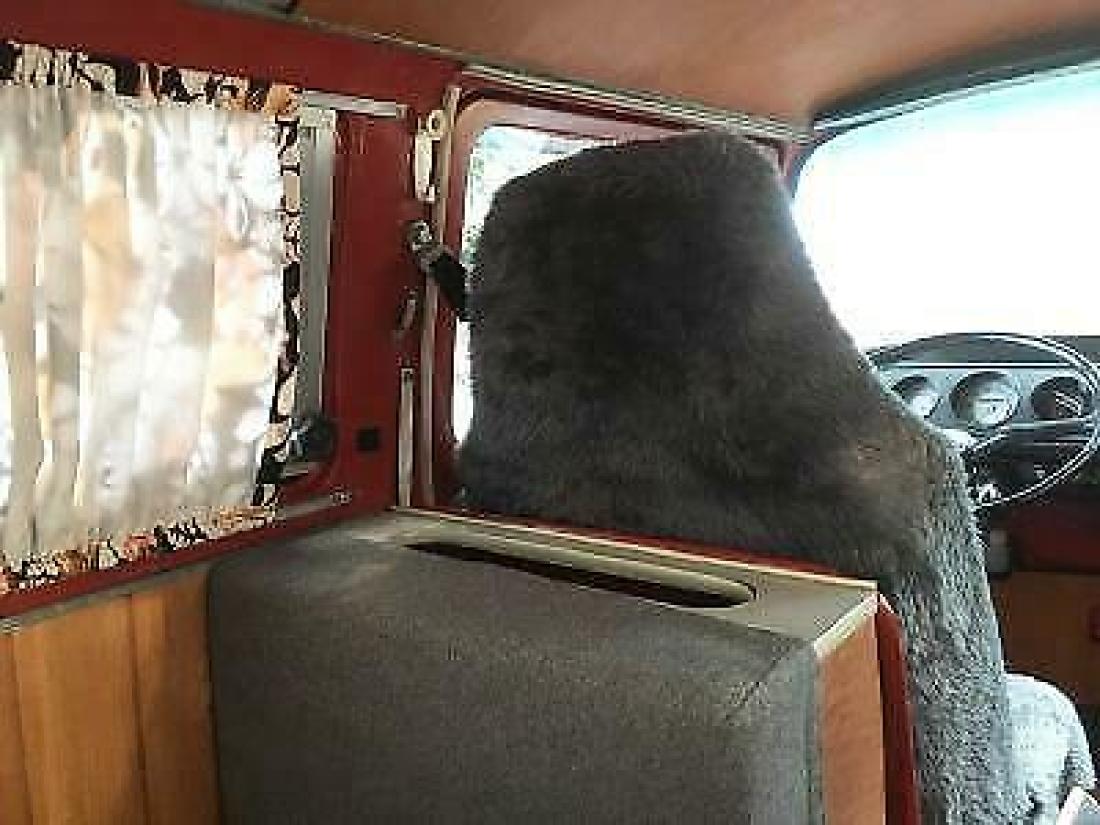 1970 Volkswagen Bus/Vanagon - photo 11
