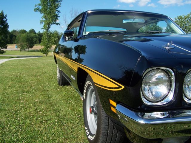 1971 Pontiac GT-37 - photo 8