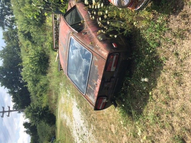 1971 Datsun Z-Series - photo 3