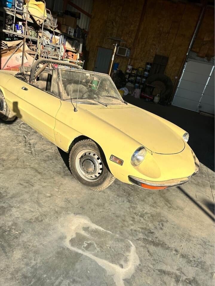 1971 Alfa Romeo Other - photo 2