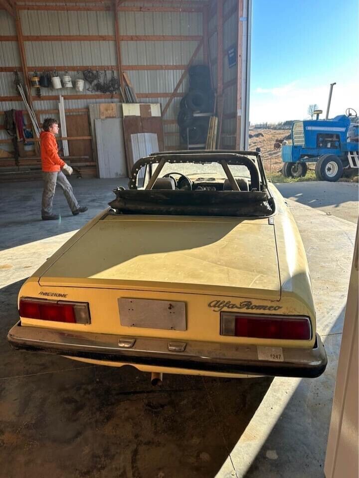 1971 Alfa Romeo Other - photo 6