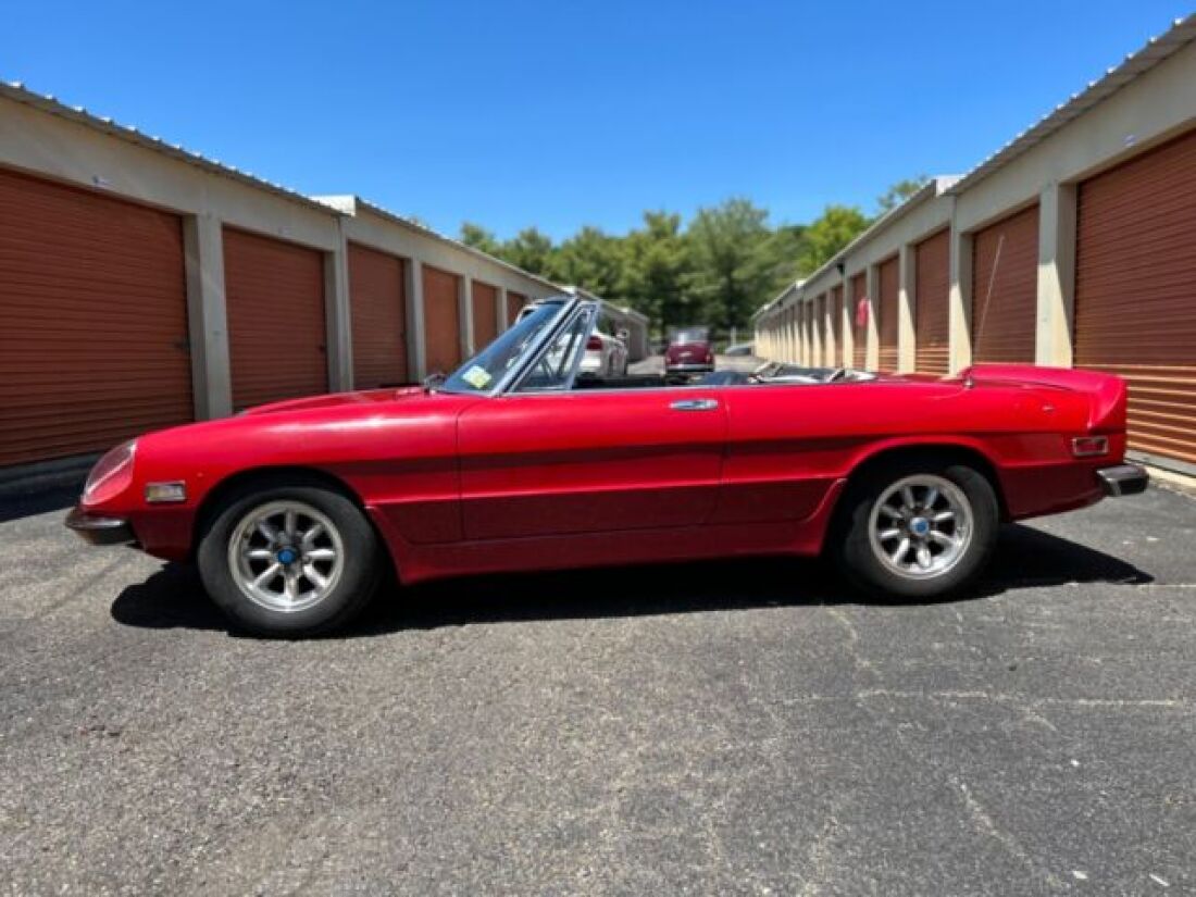 1971 Alfa Romeo Spider - photo 7
