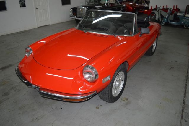 1971 Alfa Romeo Spider GREAT DEAL! - photo 3