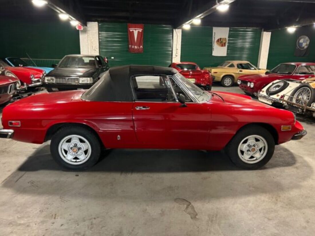 1971 Alfa Romeo Spider - photo 10