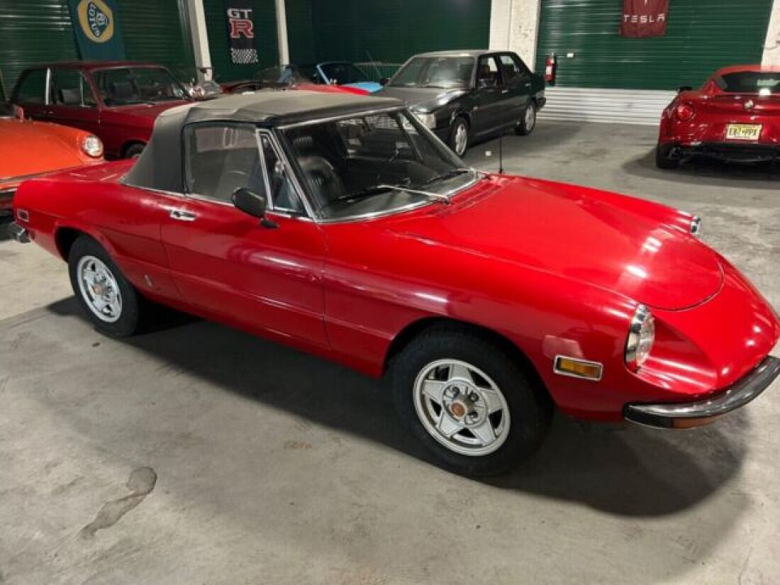 1971 Alfa Romeo Spider - photo 3