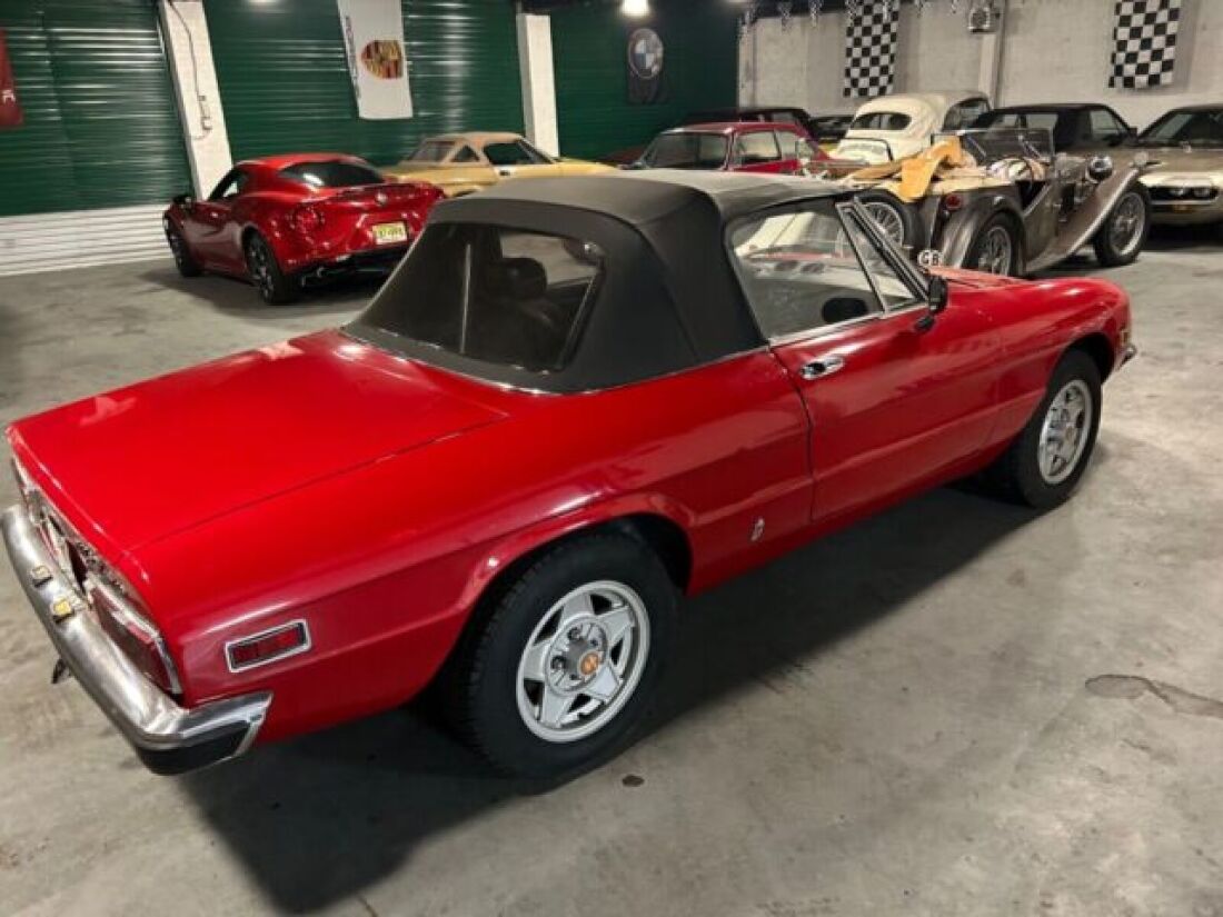 1971 Alfa Romeo Spider - photo 4