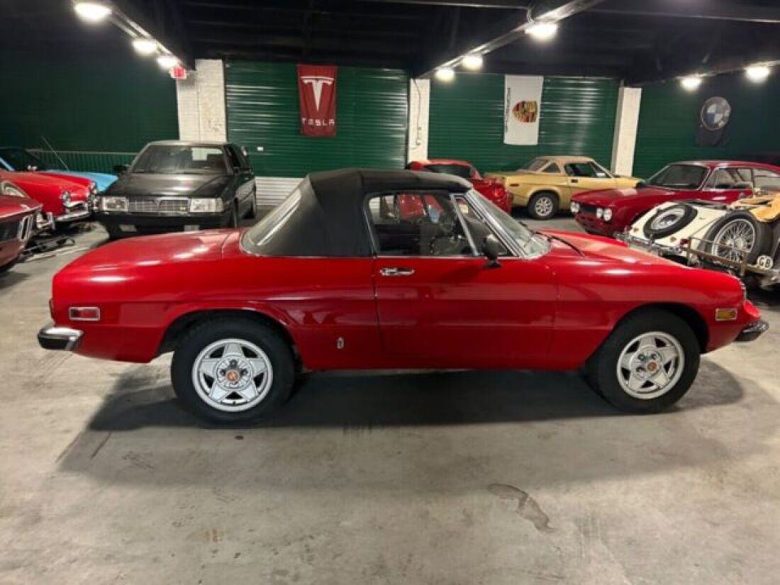 1971 Alfa Romeo Spider - photo 5