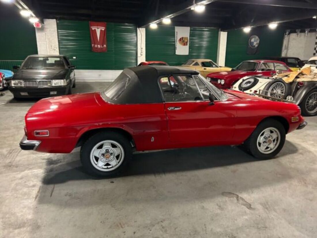 1971 Alfa Romeo Spider - photo 6