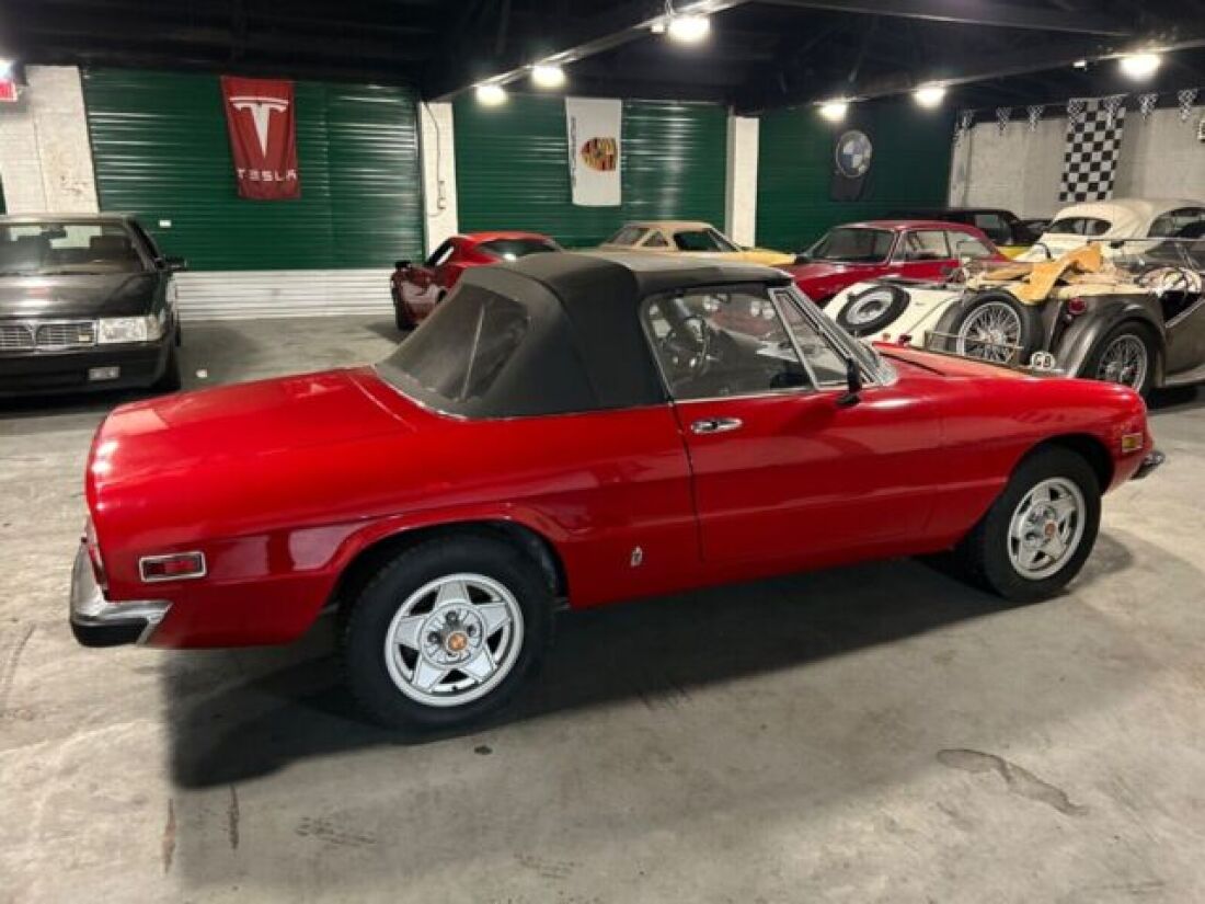 1971 Alfa Romeo Spider - photo 7