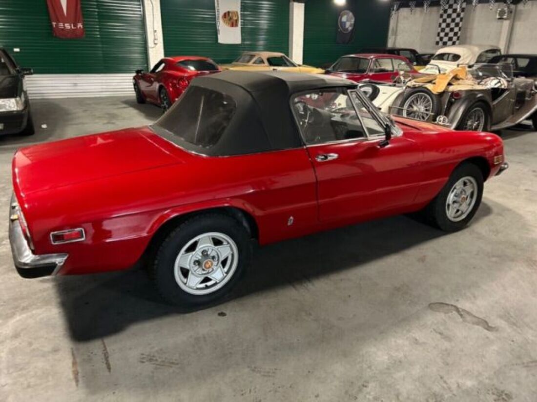 1971 Alfa Romeo Spider - photo 8