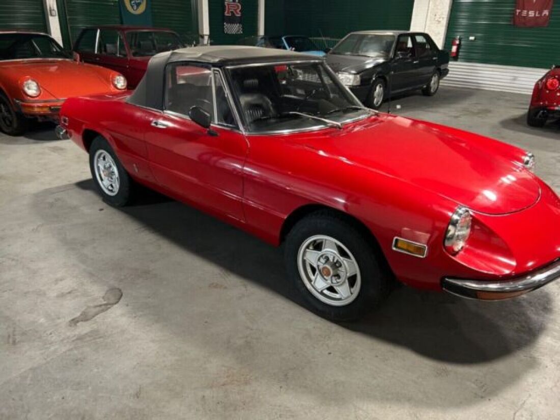 1971 Alfa Romeo Spider - photo 9