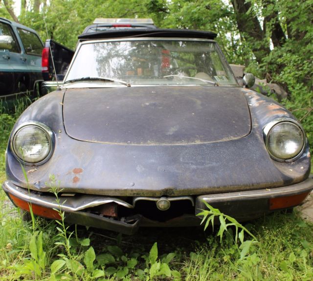 1971 Alfa Romeo Spider - photo 3