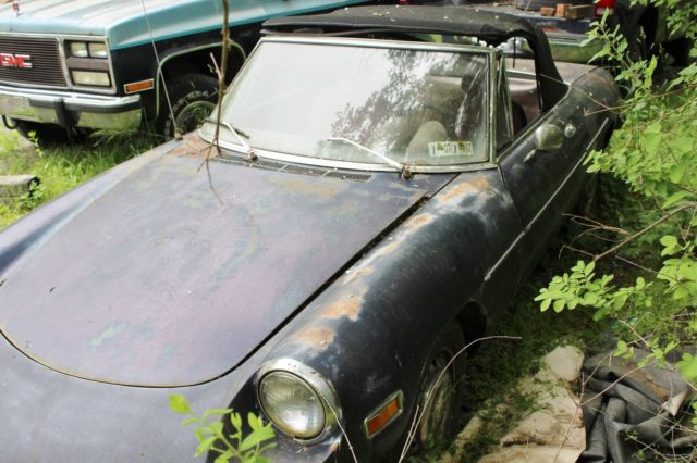 1971 Alfa Romeo Spider - photo 4