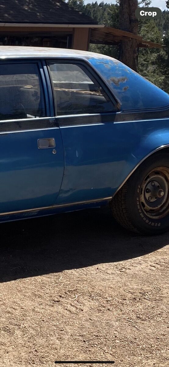 1971 AMC Hornet go package - photo 10