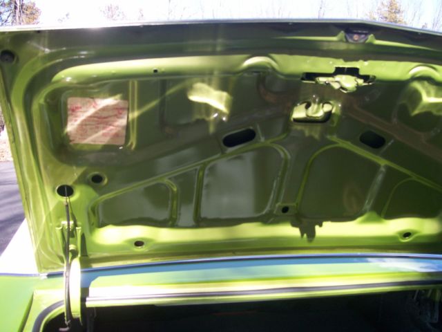 1971 Buick Skylark - photo 10