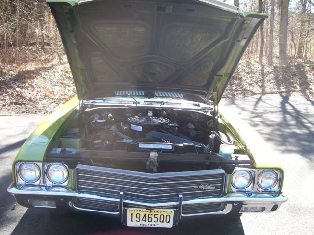 1971 Buick Skylark - photo 11