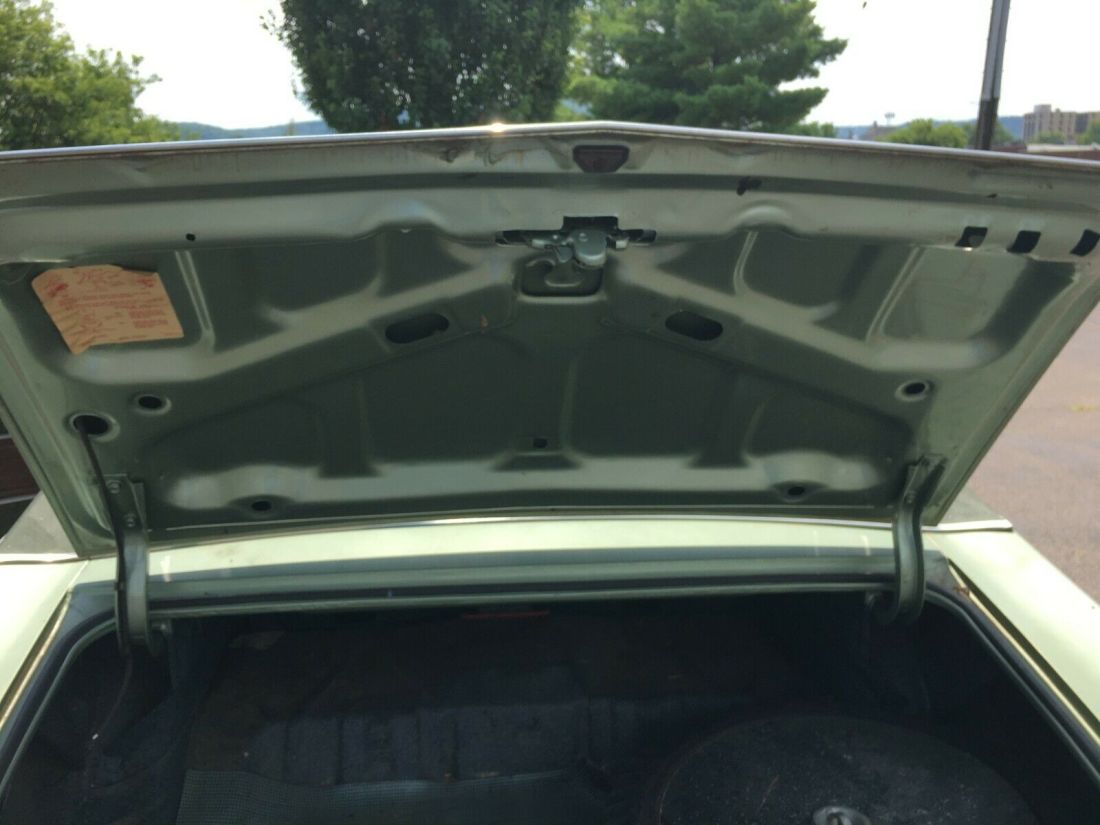 1971 Buick Skylark Vinyl Top - photo 8