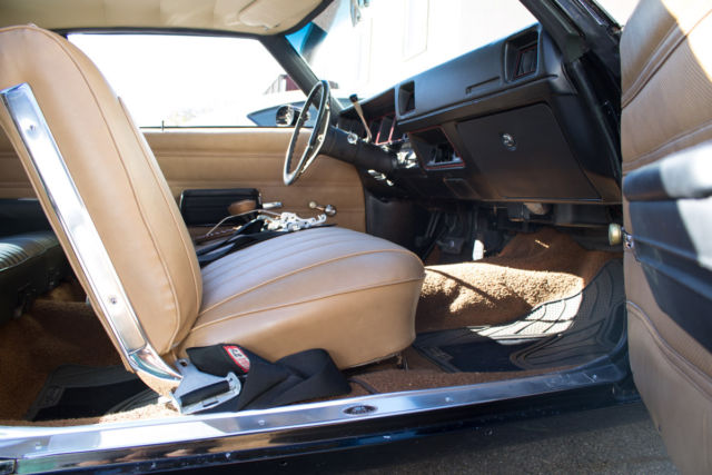 1971 Buick Skylark Tan and brown - photo 11