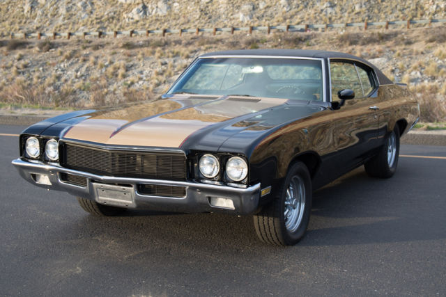 1971 Buick Skylark Tan and brown - photo 3