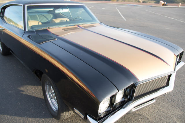 1971 Buick Skylark Tan and brown - photo 4