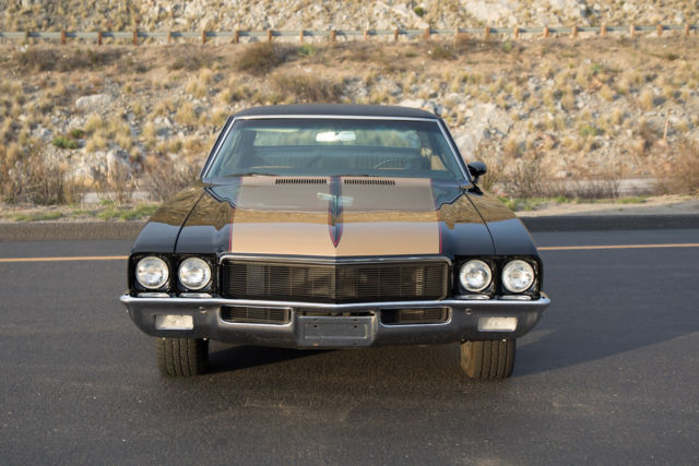 1971 Buick Skylark Tan and brown - photo 6