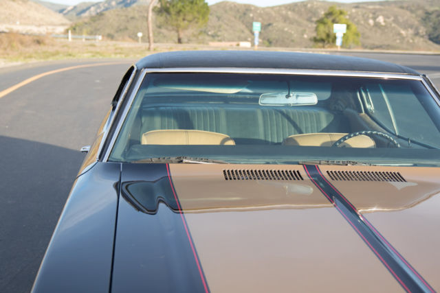 1971 Buick Skylark Tan and brown - photo 7