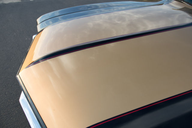 1971 Buick Skylark Tan and brown - photo 8