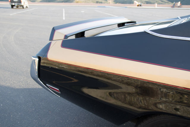 1971 Buick Skylark Tan and brown - photo 9