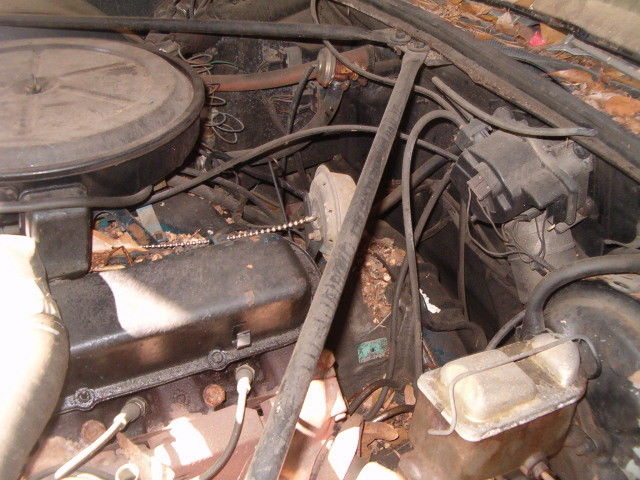 1971 Cadillac Eldorado Eldorado convertible - photo 12