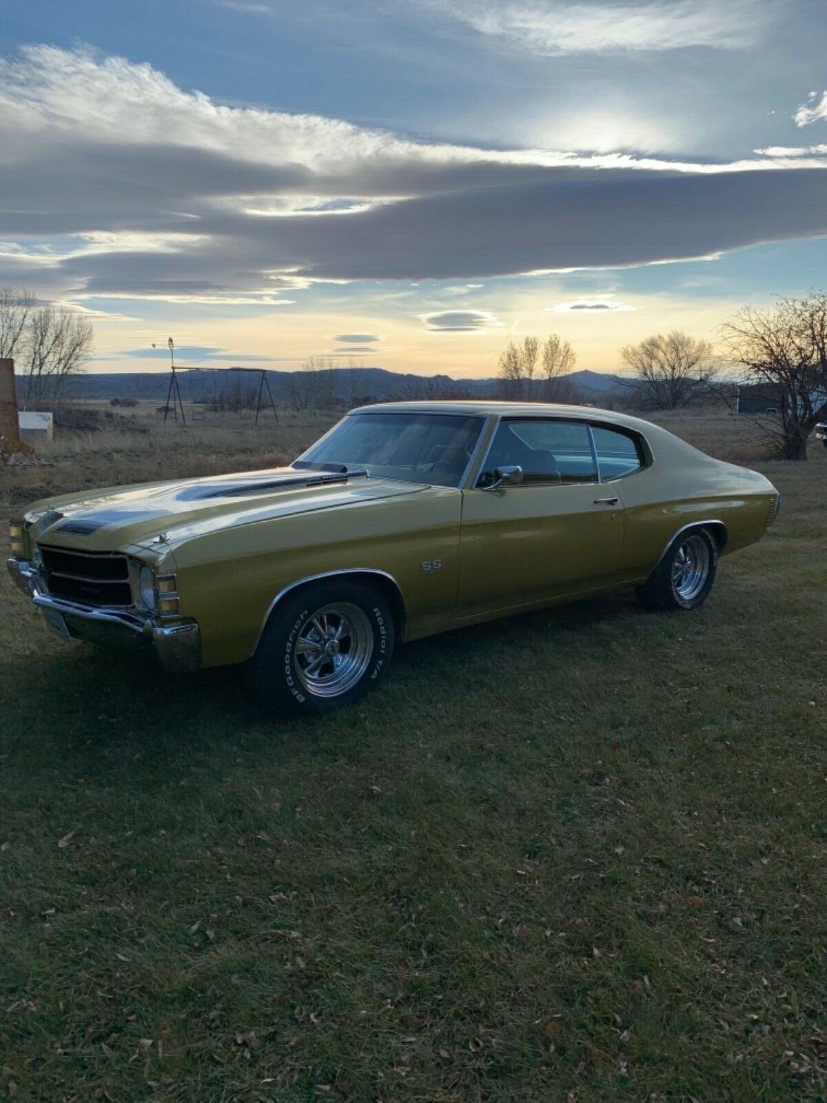 1971 Chevrolet Chevelle SS - photo 10