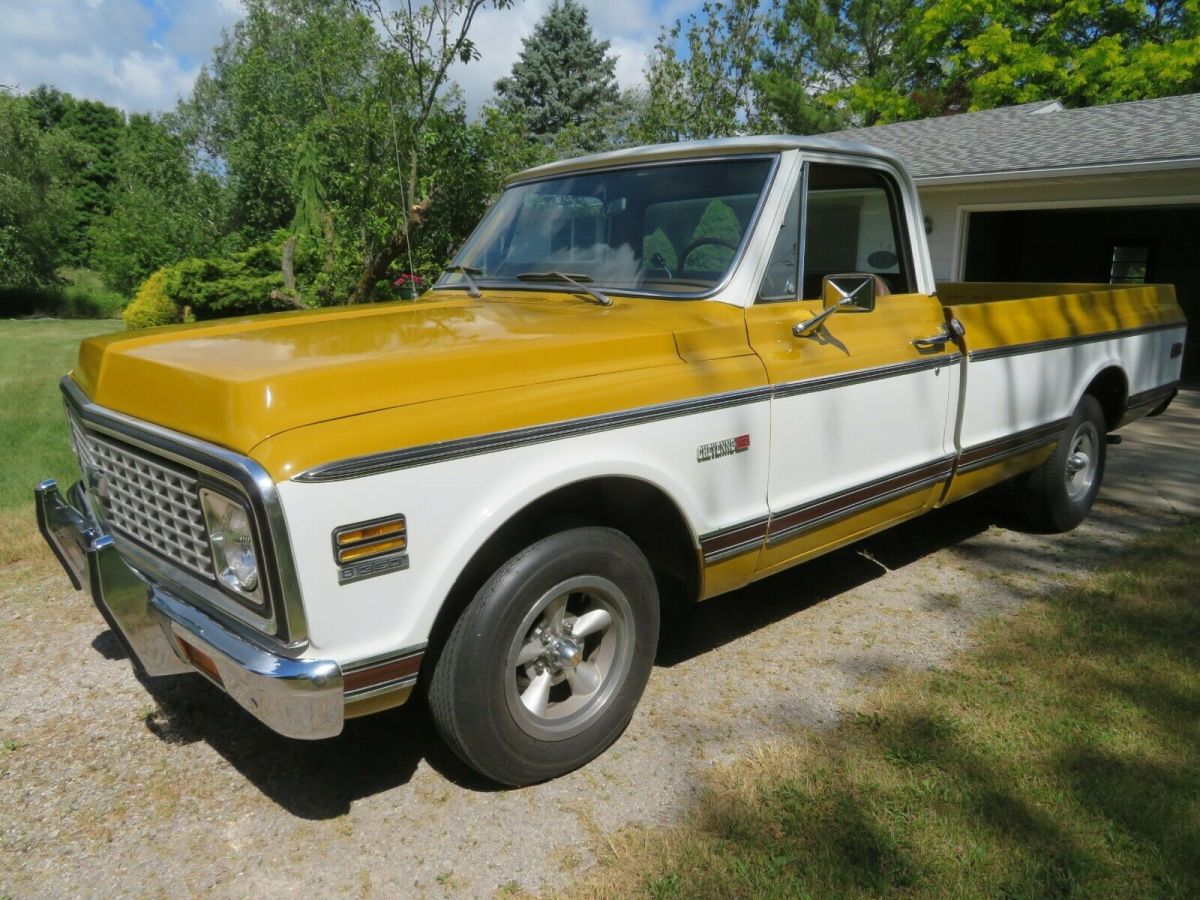 1971 Chevrolet C-10 Cheyenne Trim - photo 10