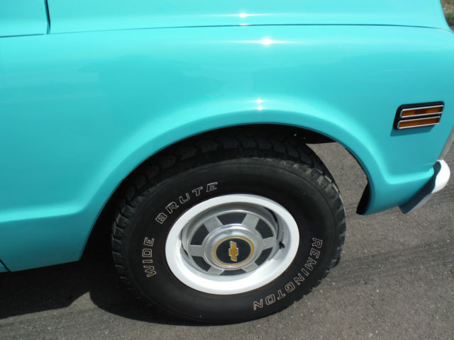 1971 Chevrolet Other Pickups FLEETSIDE - photo 11