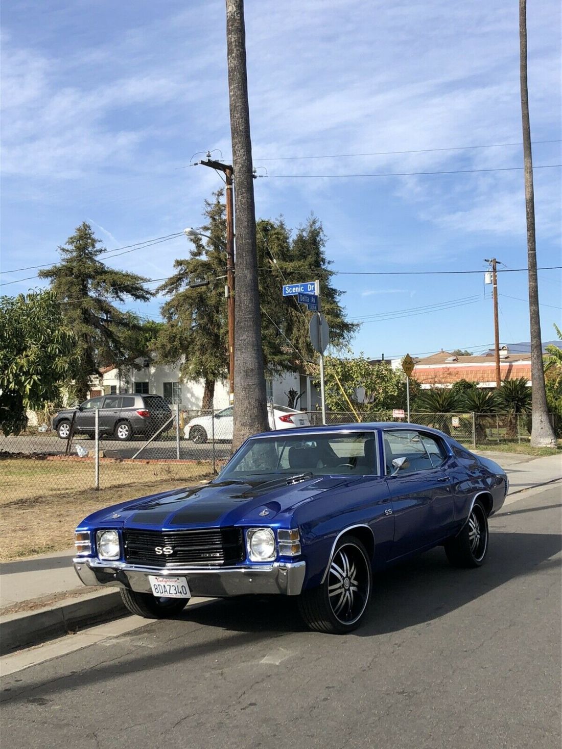 1971 Chevrolet Chevelle SS Restomod Pro Touring - photo 3