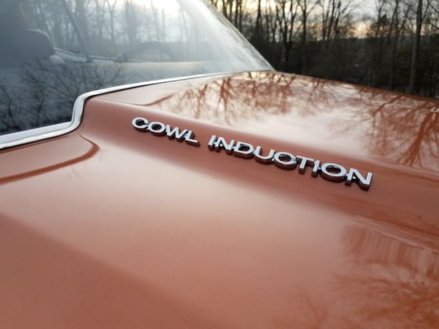 1971 Chevrolet Chevelle SS, 2nd owner since 1974, Beautiful Driver - photo 7