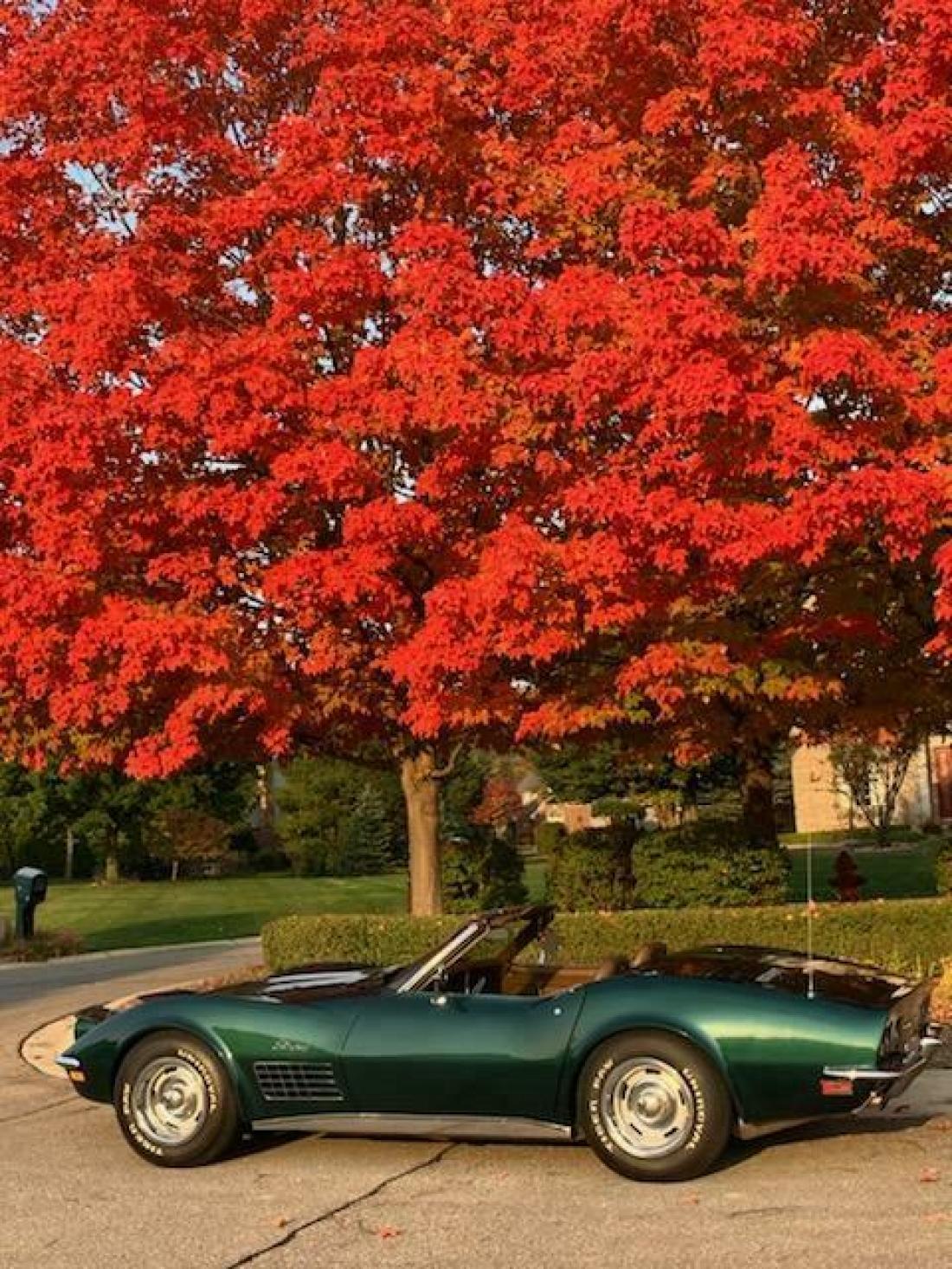 1971 Chevrolet Corvette Stingray Convertible 1 owner car 1971 Chevrolet Corvette Stingray