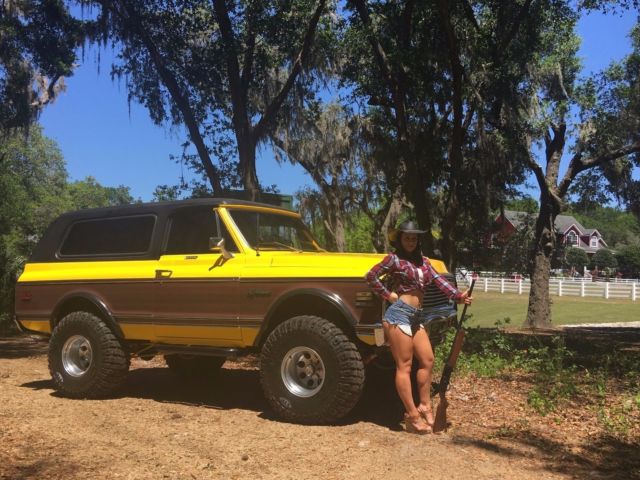 1971 Chevrolet K5 Blazer Lifted Big Block Cheyenne Wood-grain Trim 1971 Chevrolet Blazer Cheyenne Wood Grain Trim