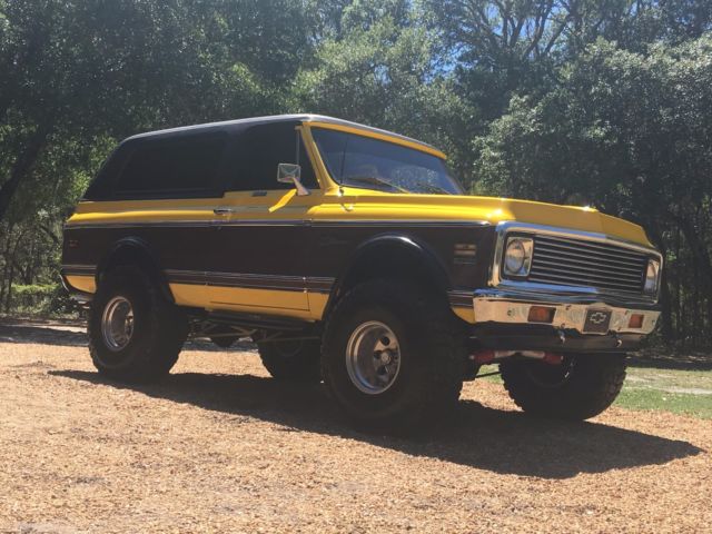 1971 Chevrolet Blazer Cheyenne Wood Grain Trim - photo 11