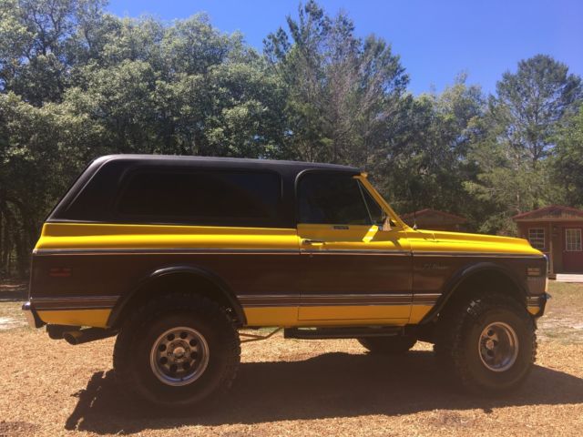 1971 Chevrolet Blazer Cheyenne Wood Grain Trim - photo 3