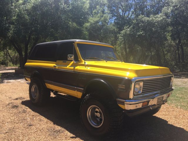1971 Chevrolet Blazer Cheyenne Wood Grain Trim - photo 4