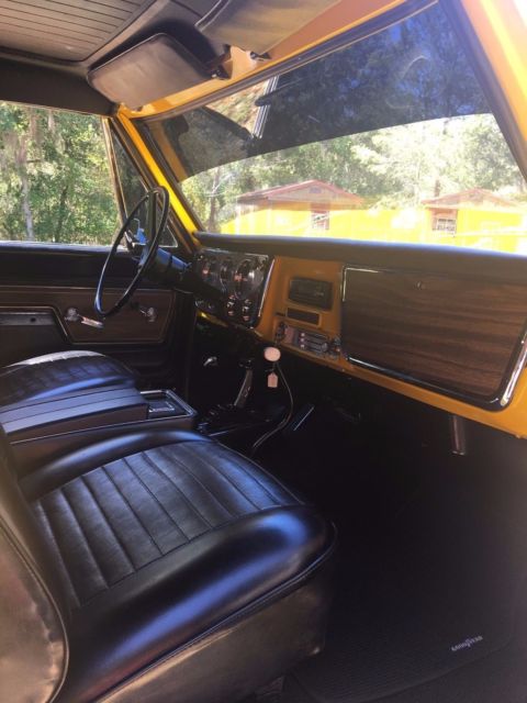 1971 Chevrolet Blazer Cheyenne Wood Grain Trim - photo 5
