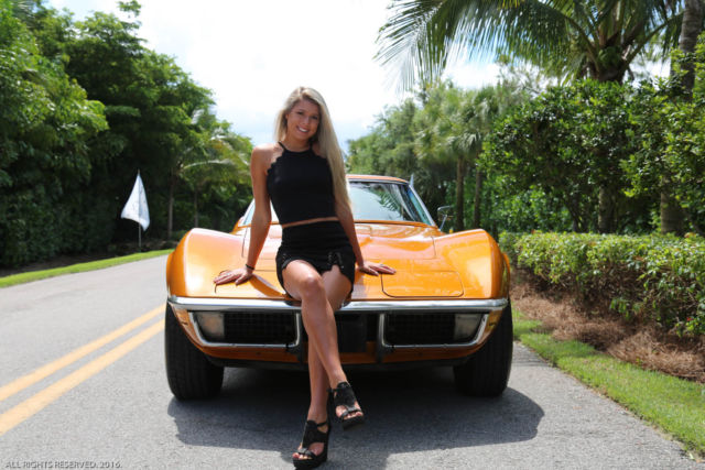 1971 Chevrolet Corvette Corvette - photo 9