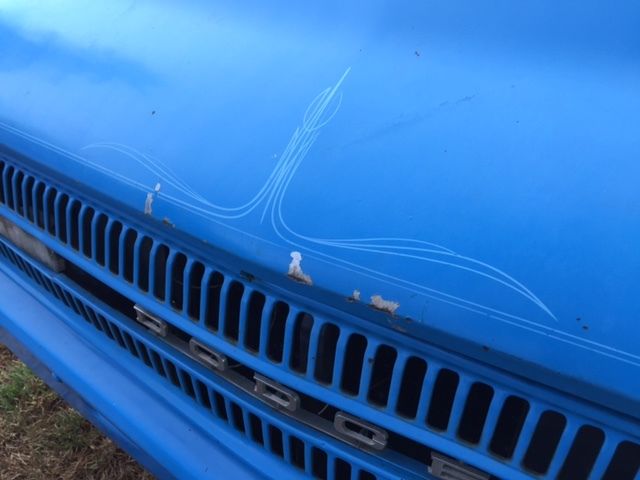 1971 Dodge Other 100 - photo 8