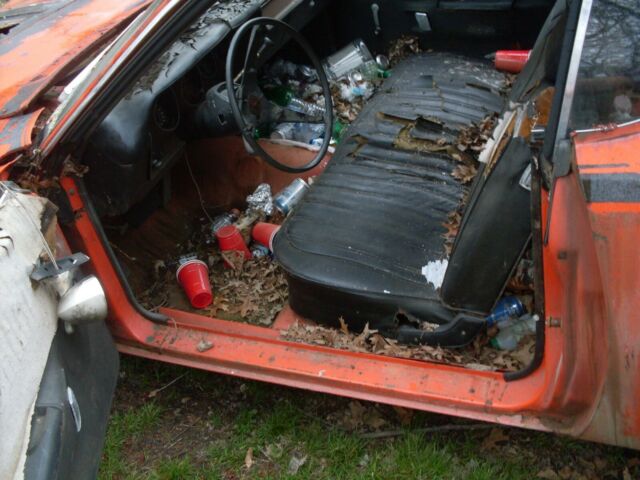 1971 Dodge Charger SuperBee - photo 5