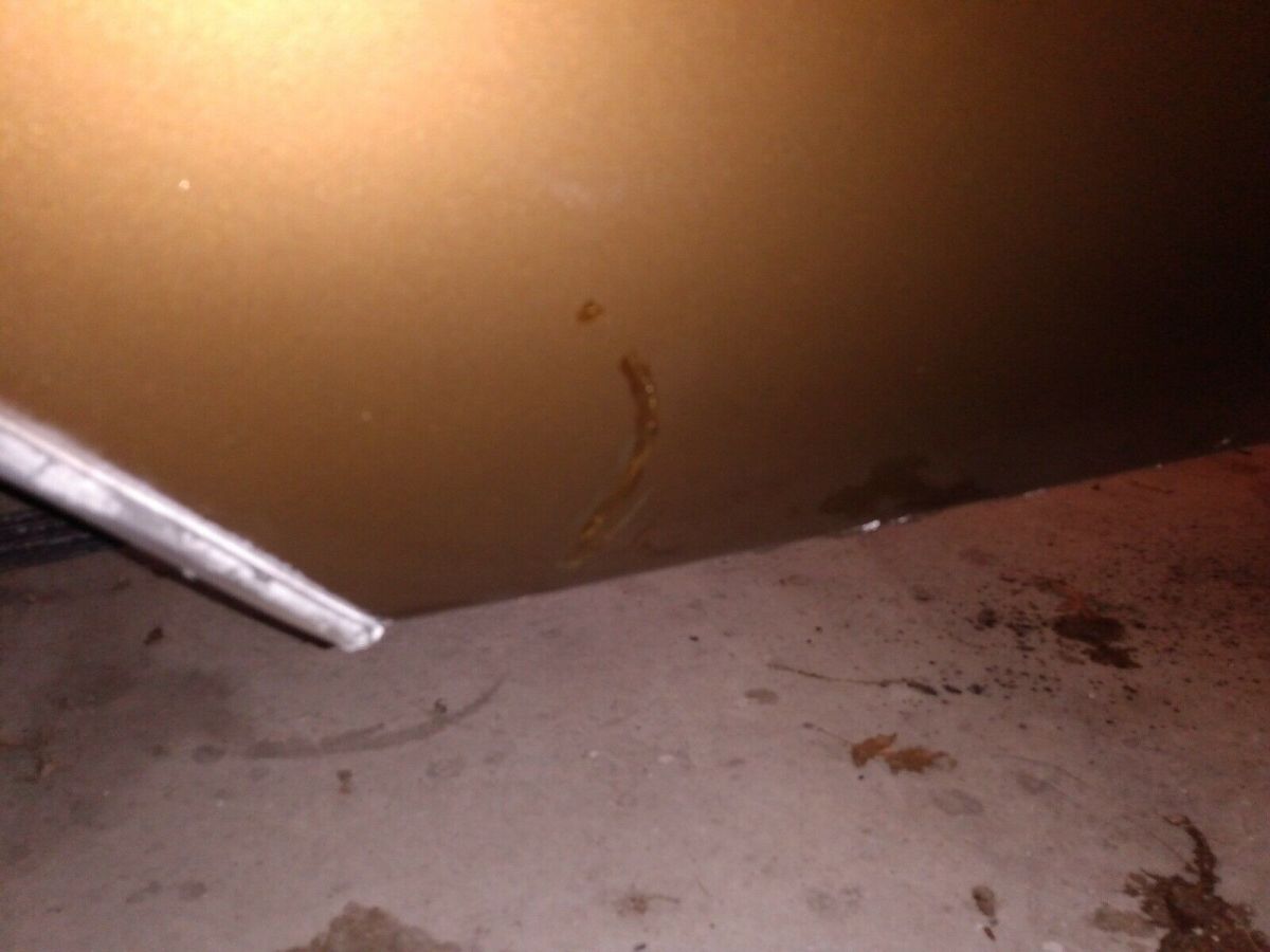 1971 Dodge Dart 3.7 Swinger - photo 13