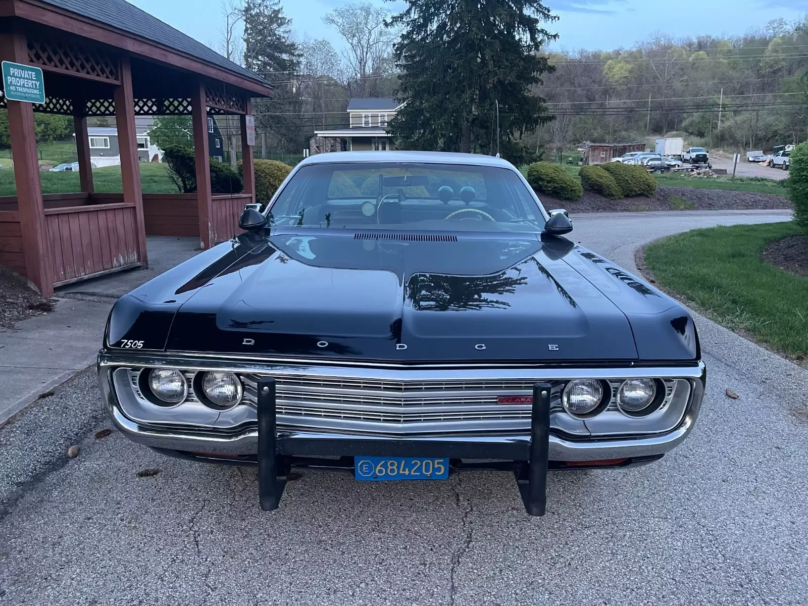 1971 Dodge Polara - photo 2