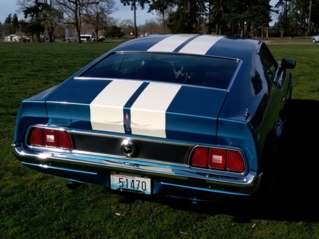 1971 Ford Mustang Mach 1 Mustang Fastback Sportback - photo 11