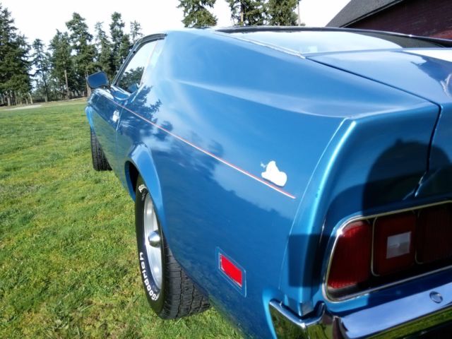 1971 Ford Mustang Mach 1 Mustang Fastback Sportback - photo 13