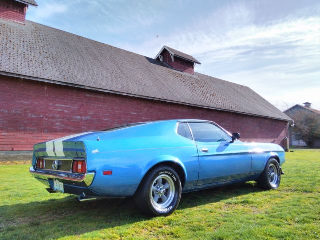 1971 Ford Mustang Mach 1 Mustang Fastback Sportback - photo 3