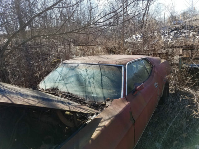 1971 Ford Mustang Mach I Fastback 2-Door - photo 2