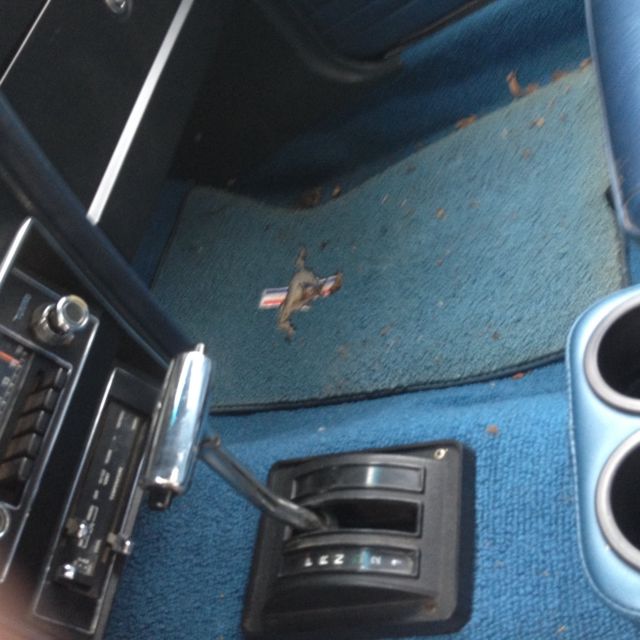 1971 Ford Mustang cope - photo 11